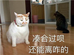 白內(nèi)障,希瑪瑞視眼科,上海眼科醫(yī)院