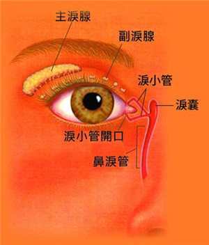 眼眶病,?，斎鹨曆劭?上海眼科醫(yī)院