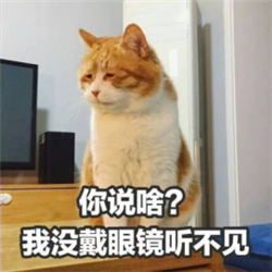 屈光矯視,?，斎鹨曆劭?上海眼科醫(yī)院