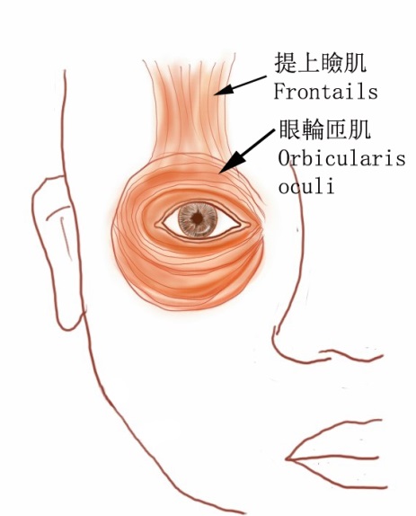 眼眶病,希瑪瑞視眼科,上海眼科醫(yī)院