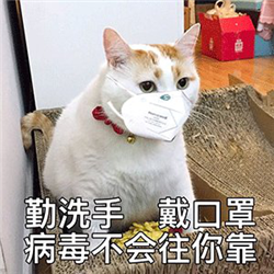 眼表眼角膜,?，斎鹨曆劭?上海眼科醫(yī)院