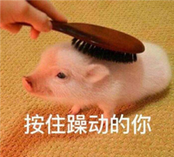 眼表眼角膜,?，斎鹨曆劭?上海眼科醫(yī)院