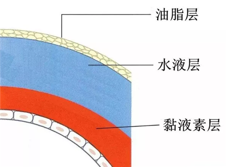 眼表眼角膜,希瑪瑞視眼科,上海眼科醫(yī)院
